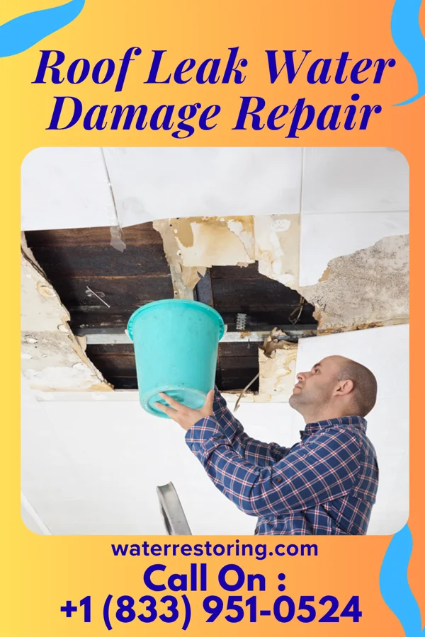 Roof Leak Water Damage Repair in Casa Colorada, NM