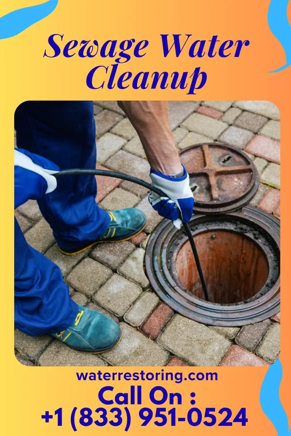 Sewage Water Cleanup in Casa Colorada, NM